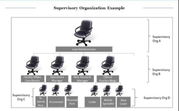 workday-hcm-supervisory-orgs-and-staffing-models-workday-trainings